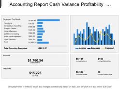 Accounting report cash variance profitability balance sheet performance position