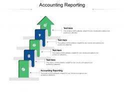 Accounting reporting ppt powerpoint presentation portfolio picture cpb