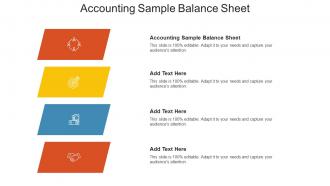 Accounting Sample Balance Sheet Ppt Powerpoint Presentation Inspiration Microsoft Cpb
