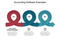Accounting software examples ppt powerpoint presentation show clipart images cpb
