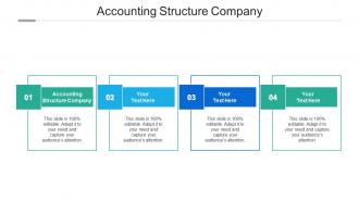 Accounting structure company ppt powerpoint presentation inspiration outline cpb