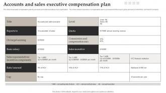 Accounts And Sales Executive Compensation Plan