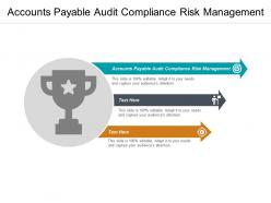 Accounts payable audit compliance risk management ppt powerpoint presentation ideas gridlines cpb