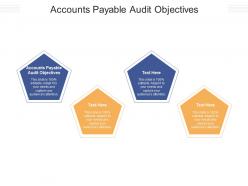 Accounts payable audit objectives ppt powerpoint presentation styles layouts cpb