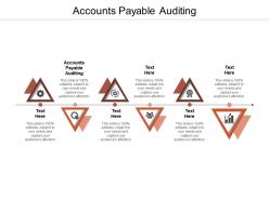Accounts payable auditing ppt powerpoint presentation model template cpb