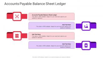 Accounts Payable Balance Sheet Ledger In Powerpoint And Google Slides Cpb