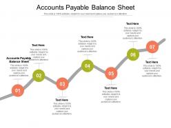 Accounts payable balance sheet ppt powerpoint presentation styles infographic template cpb