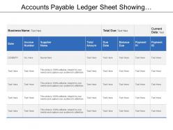 Accounts payable ledger sheet showing supplier name with total amount