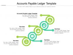 Accounts payable ledger template ppt powerpoint presentation summary templates cpb