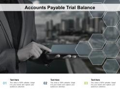 Accounts payable trial balance ppt powerpoint presentation slides graphics cpb