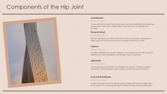 Hip Anatomy PowerPoint Presentation and Slides PPT Presentation | SlideTeam