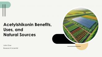 Acetylshikonin Benefits Uses And Natural Sources PPT PowerPoint ST AI