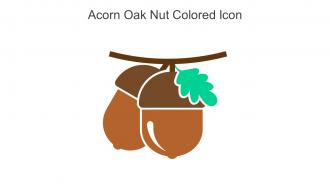 Acorn Oak Nut Colored Icon In Powerpoint Pptx Png And Editable Eps Format