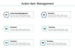Action item management ppt powerpoint presentation infographic template ideas cpb