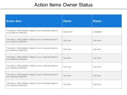 Action items owner status