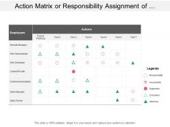 Action matrix or responsibility assignment of business projects