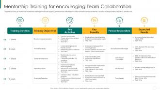 Action plan for enhancing team capabilities mentorship training for encouraging team collaboration