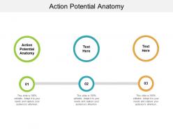 Action potential anatomy ppt powerpoint presentation layouts gallery cpb