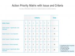Action priority matrix with issue and criteria