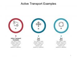 Active transport examples ppt powerpoint presentation ideas maker cpb