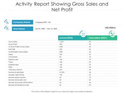 Activity report showing gross sales and net profit