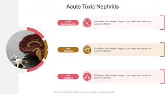 Acute Toxic Nephritis In Powerpoint And Google Slides Cpp PPT Template