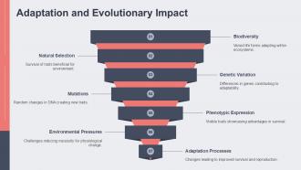 Physiological Adaptations PowerPoint Presentation and Slides PPT ...