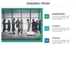 Adaptation model ppt powerpoint presentation icon infographics cpb
