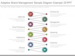 Adaptive brand management sample diagram example of ppt