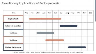 Adaptive Radiation Endosymbiotic Theory PPT Presentation ACP Images Compatible