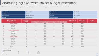 Addressing agile software project budget assessment agile cost estimation techniques