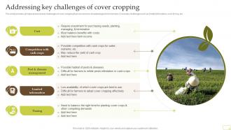 Addressing Key Challenges Of Cover Cropping Complete Guide Of Sustainable Agriculture Practices