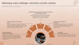 Addressing Major Challenges Catered By Cosmetic Industry Natural Cosmetic Business Plan BP SS
