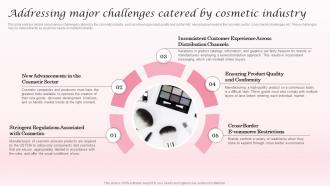 Addressing Major Challenges Cosmetic Industry Business Plan BP SS