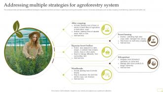 Addressing Multiple Strategies For Agroforestry System Complete Guide Of Sustainable Agriculture Practices