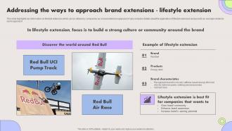 Addressing The Ways To Approach Brand Extensions Lifestyle Extension