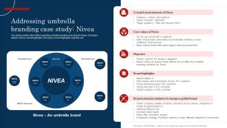 Addressing Umbrella Branding Case Study Nivea Improve Brand Valuation Through Family