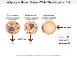Adipocyte brown beige white thermogenic fat