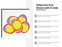 Adipocyte icon shown with 6 cells