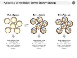 Adipocyte white beige brown energy storage