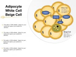Adipocyte white cell beige cell