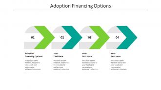 Adoption financing options ppt powerpoint presentation portfolio layout ideas cpb