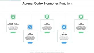 Adrenal Cortex Hormones Function In Powerpoint And Google Slides Cpb