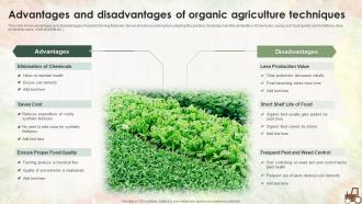 Advantages And Disadvantages Of Organic Agriculture Techniques