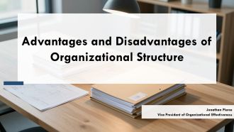 Advantages And Disadvantages Of Organizational Structure PPT Outline VA