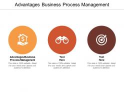 Advantages business process management ppt powerpoint presentation summary cpb