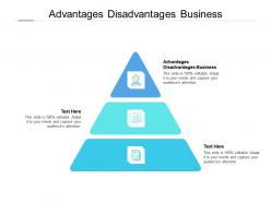 Advantages disadvantages business ppt powerpoint presentation file outline cpb