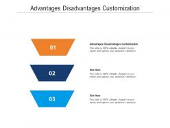 Advantages disadvantages customization ppt powerpoint presentation inspiration topics cpb