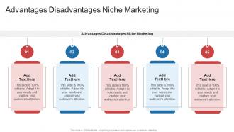 Advantages Disadvantages Niche Marketing In Powerpoint And Google Slides Cpb