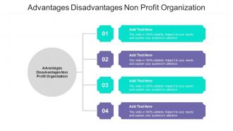 Advantages Disadvantages Non Profit Organization Ppt Powerpoint Presentation File Cpb